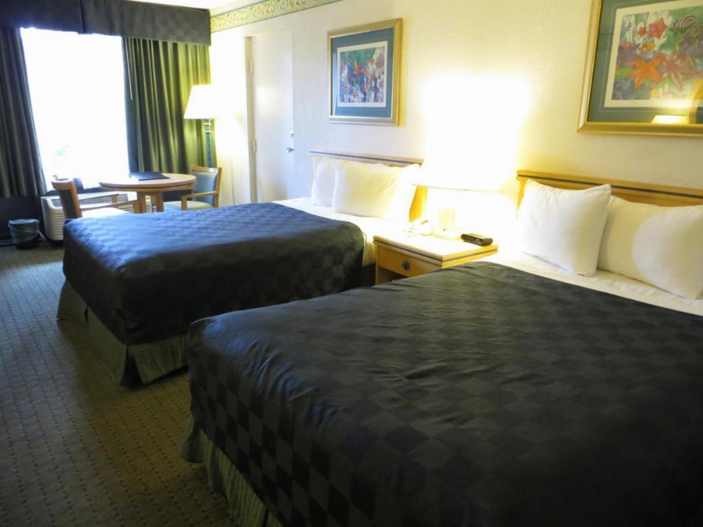 Standard Room With Two Double Beds - Pool View